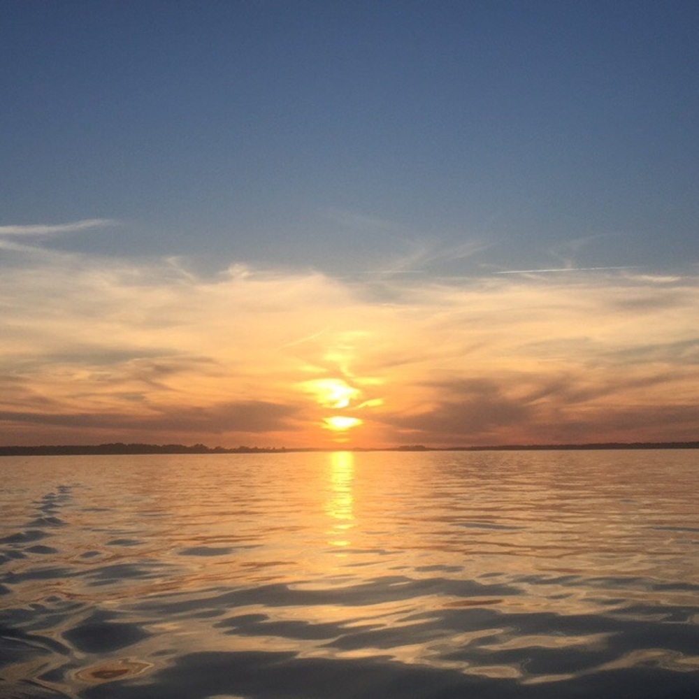 Meet your Posher, Maggie